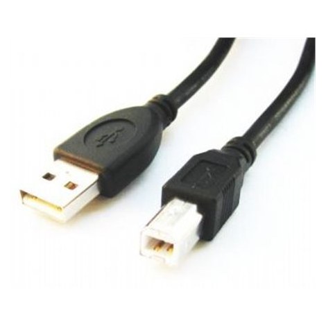 Gembird | USB cable | Male | 4 pin USB Type A | Male | Black | 4 pin USB Type B | 3 m - 2